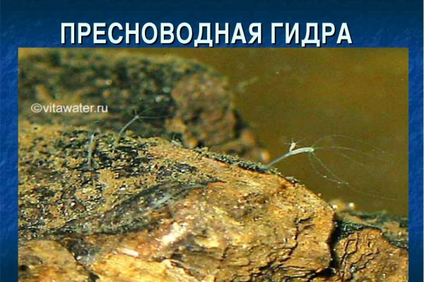 Как восстановить аккаунт на кракене